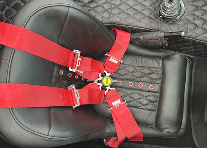 Can Lock Seat Belts